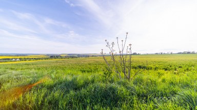 Prodej stavebního pozemku 2813 m2 v obci Dobříč u Prahy, okres Praha - Západ.