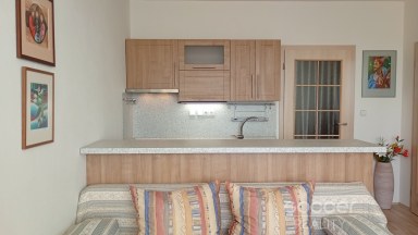 Pronájem hezkého bytu 1+kk, 29m2, Praha 10 - Hostivař, Hostivařská