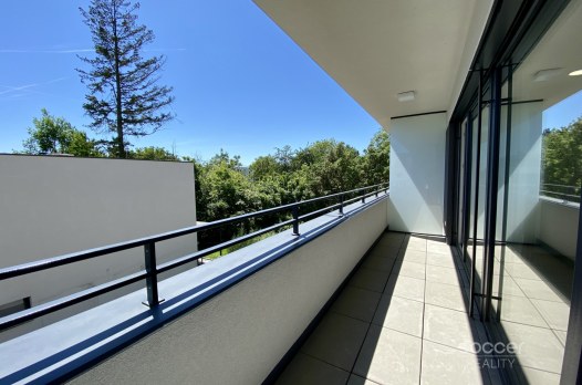 66867_0827599300.jpg